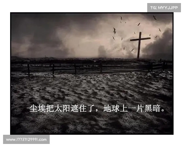 《透视黑暗中的心理博弈与生死抉择:心灵深处的终极较量》 《透视黑暗中的心理博弈与生死抉择:心灵深处的终极较量》